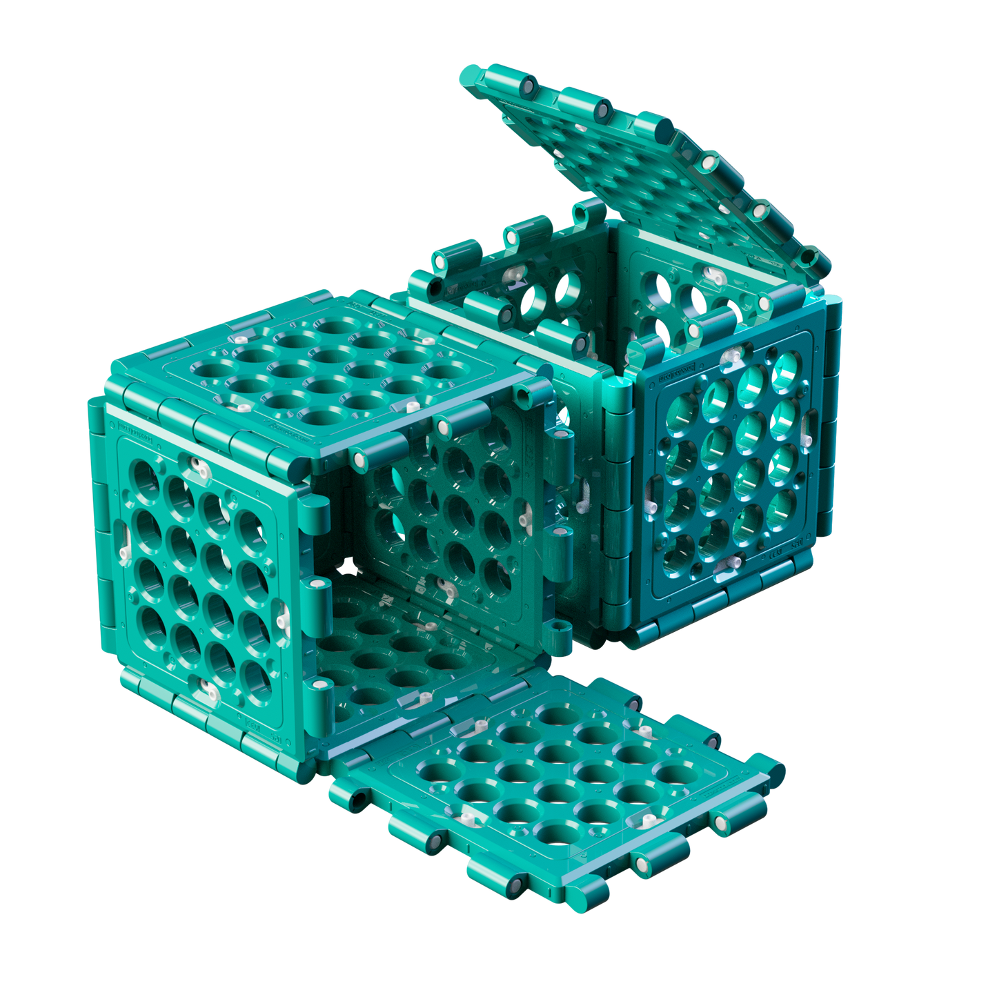 S20 | 12er-Pack