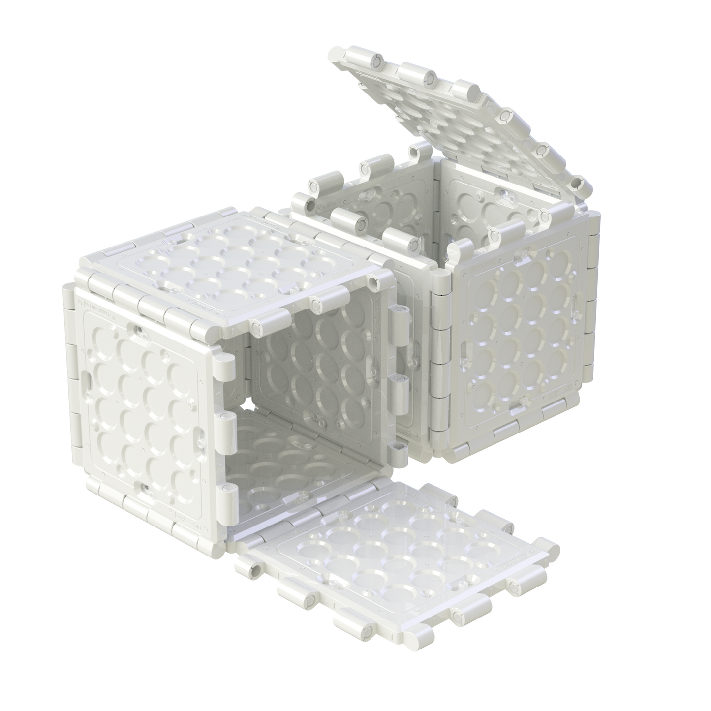 S20C | 12er-Pack