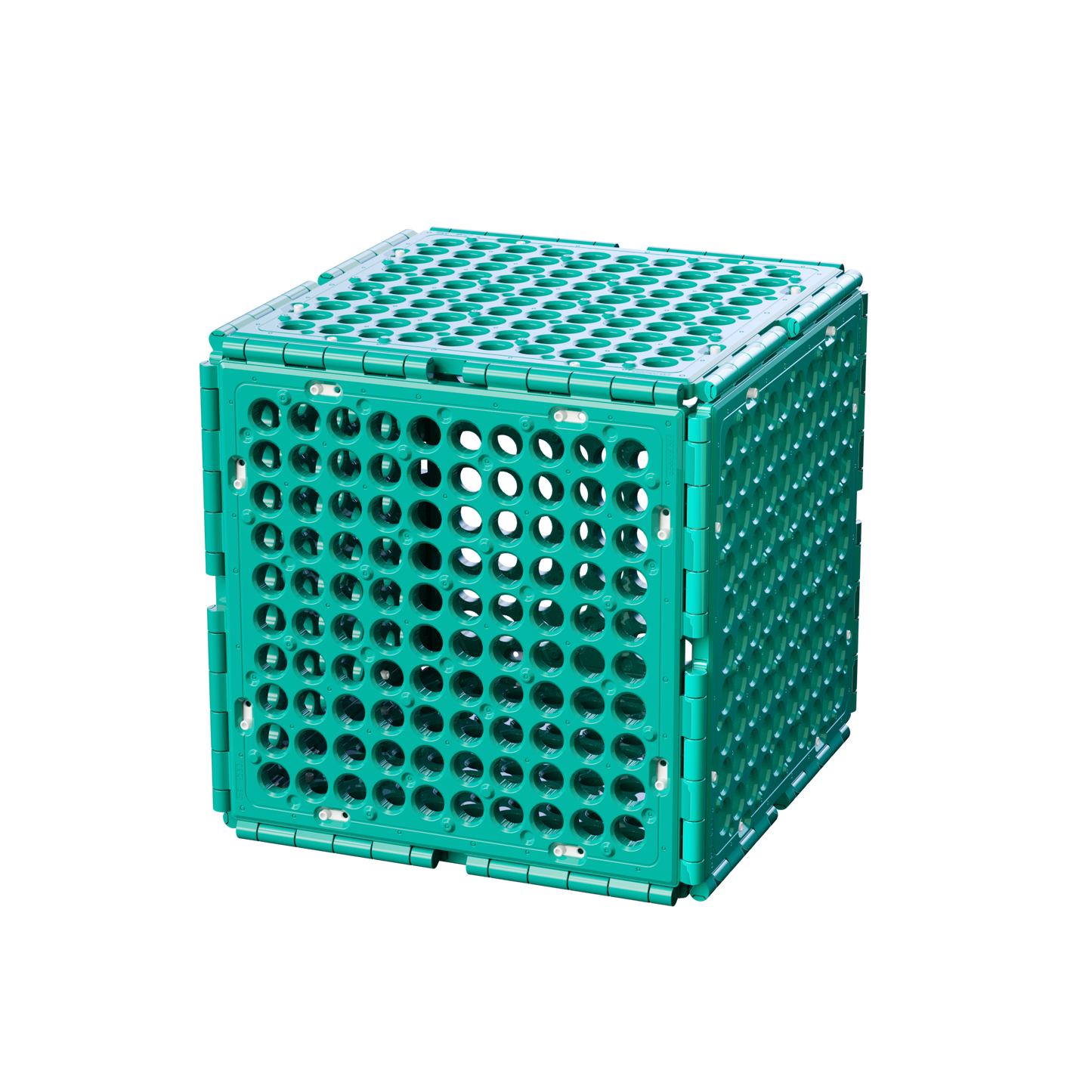 S40 | 6er-Pack