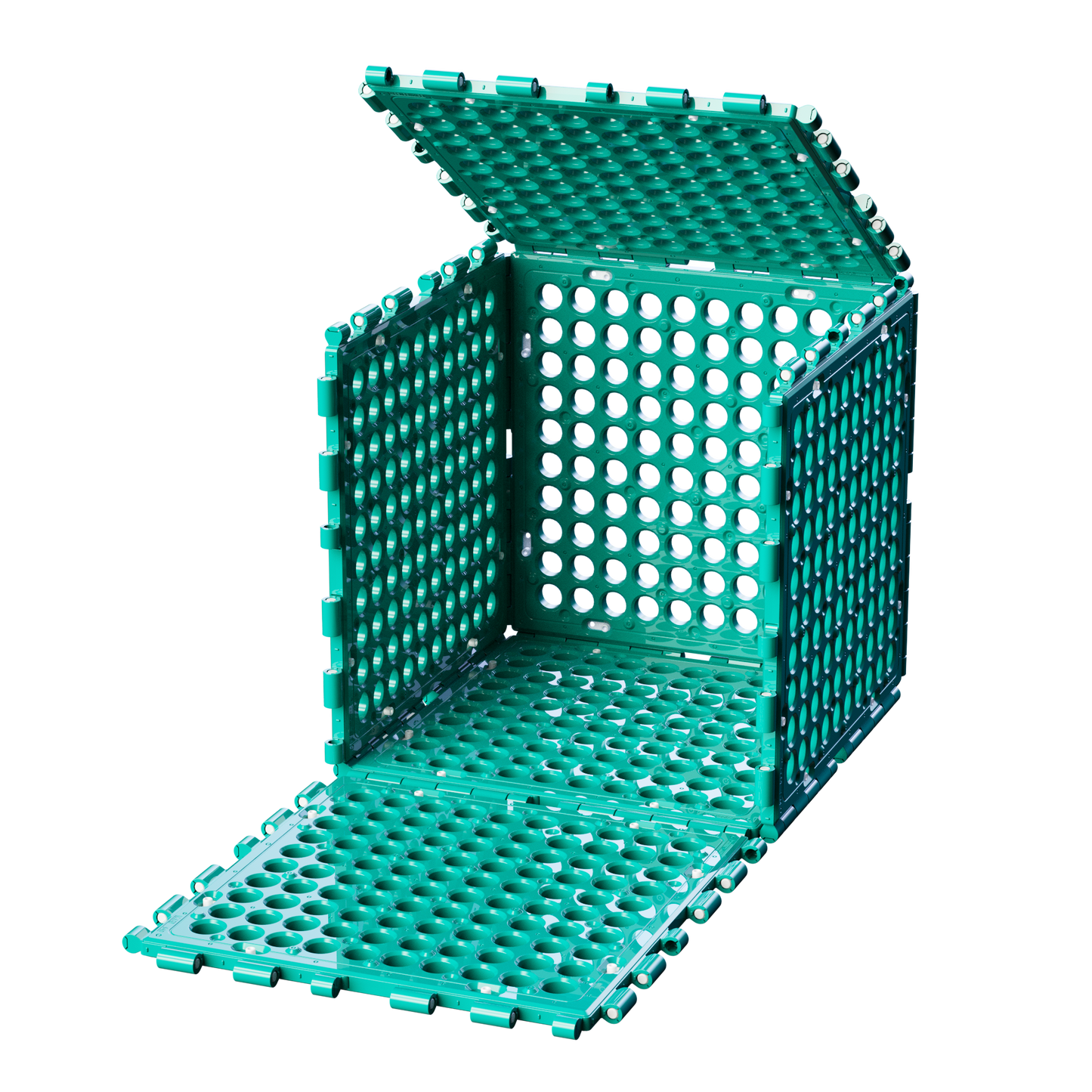 S40 | 6er-Pack