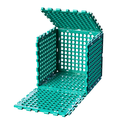 S40 | 6er-Pack